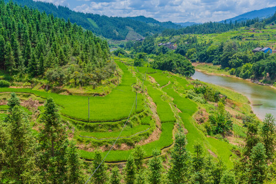 山区稻田