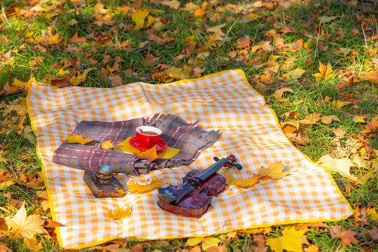 秋季露营野餐