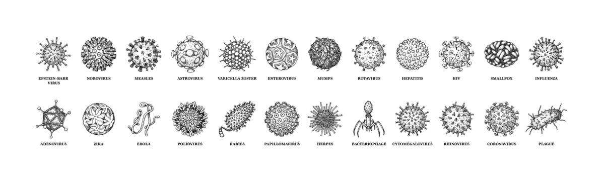 各式病毒及微生物集合素描插圖