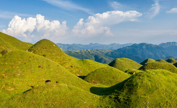 邵阳南山牧场草原风光