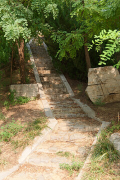 山间小路