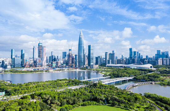 深圳湾人才公园全景