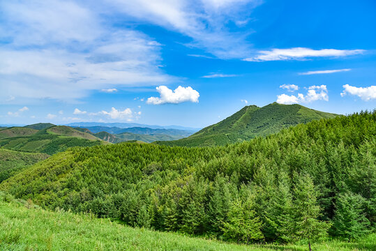 绿色山峦