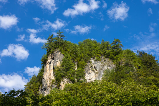 高山森林