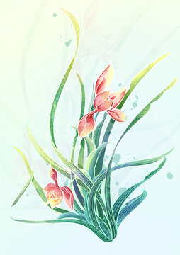 國(guó)潮蘭花PSD插畫素材
