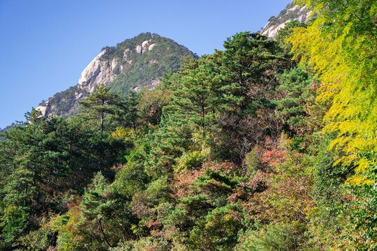 安徽黄山风景区