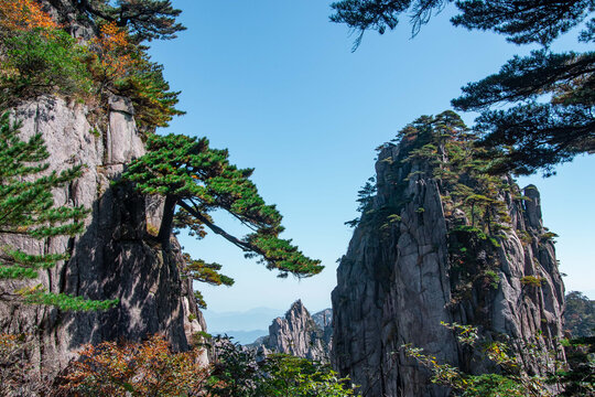 安徽黄山风景区