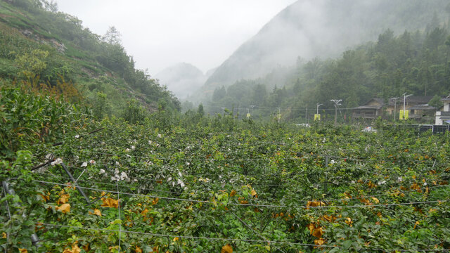 雨后云雾缭绕美不胜收