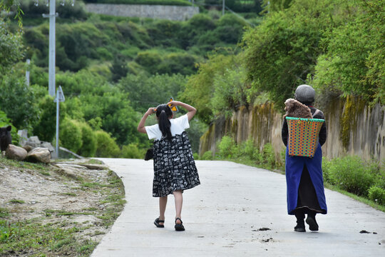 西藏林芝