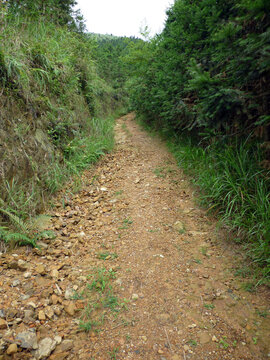 广西宾阳大圣山