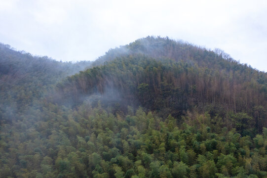 航拍湖南长沙乌山森林公园