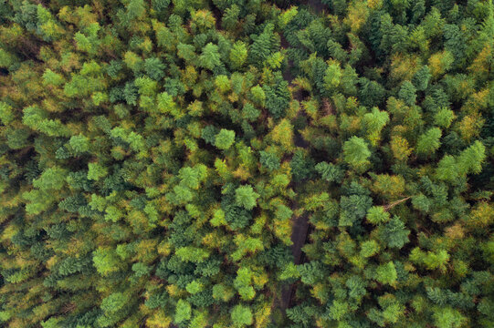 航拍湖南长沙乌山森林公园