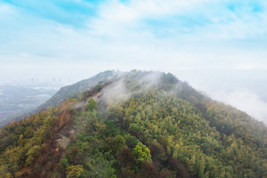 航拍湖南长沙乌山森林公园