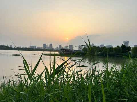 夕阳湖中