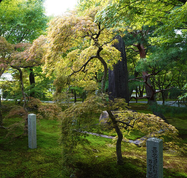 日本园林中的石碑