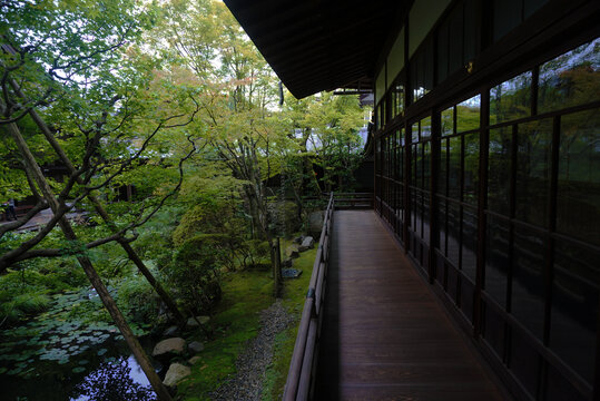 带池塘的庭院