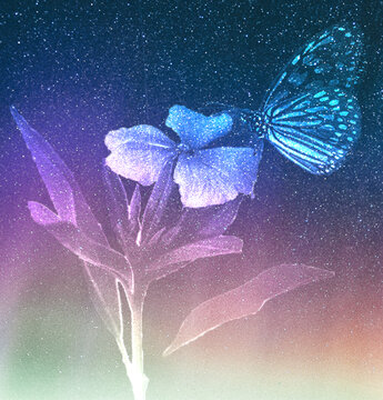 星空与蝴蝶与花