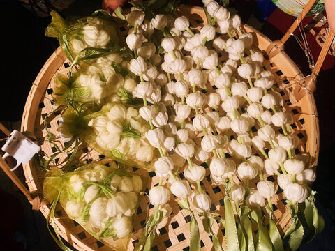 新鲜茉莉花手串串包