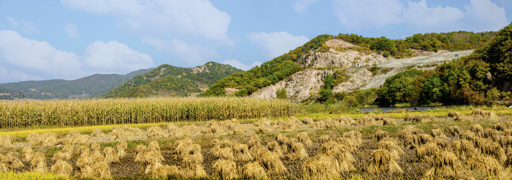 秋色远山稻田