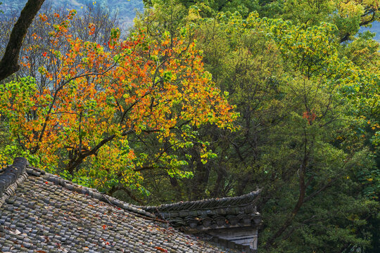 江西婺源篁岭景区的古建筑美景