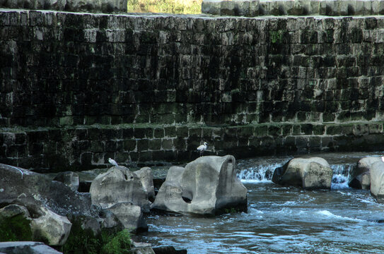 龙沱河堤