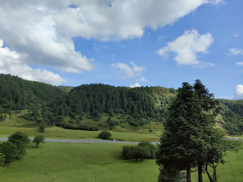 高山草甸仙女山7