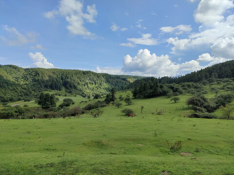 高山草甸仙女山13