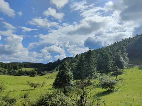 高山草甸仙女山14