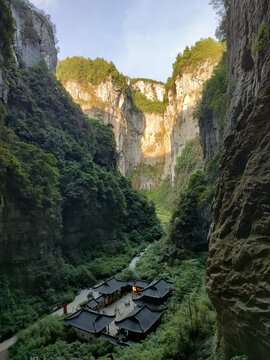 满城尽带黄金甲