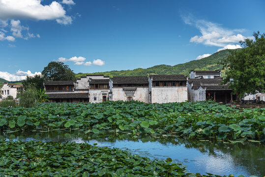 呈坎荷塘民居自然风光