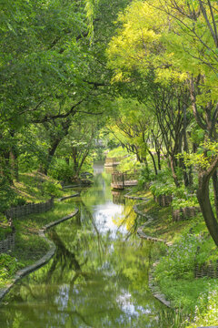 河道