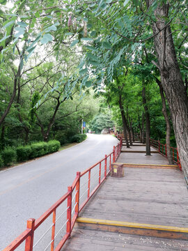 登山步道