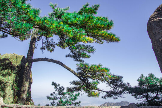 安徽黄山风景区