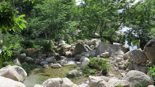 山青青水清清