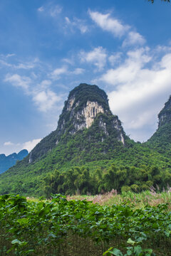 青山石山山峰