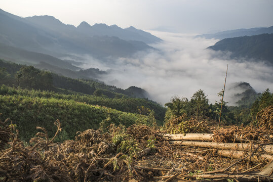 大山清晨云雾风景