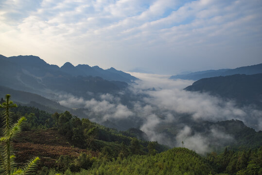 大山清晨云雾风景