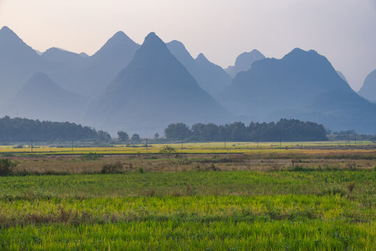 田园风光自然风景