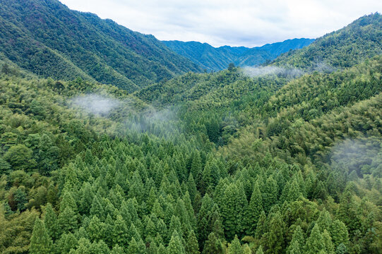 航拍湖南株洲炎陵神农谷景区