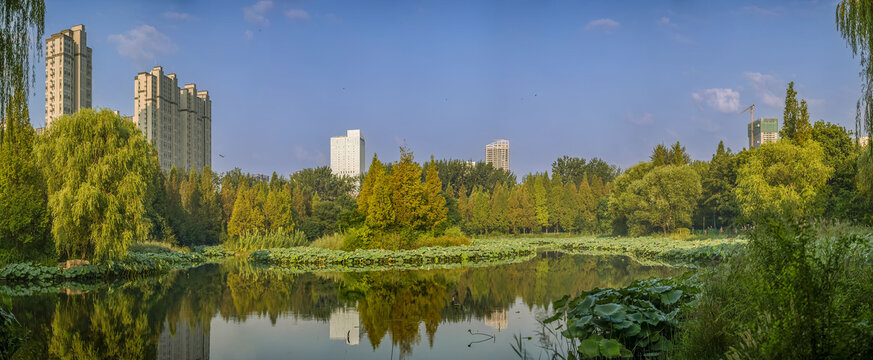 济南森林公园揽翠湖宽幅全景