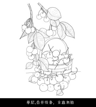 原創(chuàng)櫻桃果籃手繪線描線稿