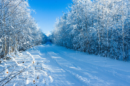 雪原森林雾凇公路