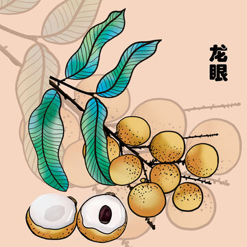 龍眼