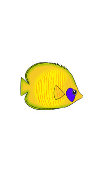 手繪熱帶魚