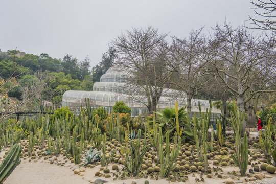 厦门植物园仙人掌与展览馆