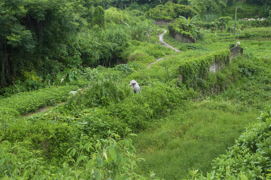 乡土风情