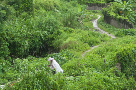 雨后乡村田园掠影