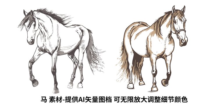 馬矢量插圖素材