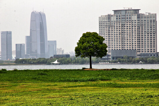 苏州独墅湖城市风貌