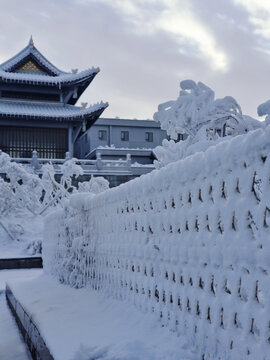 自然风景积雪